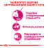 Сухий корм для котів ROYAL CANIN EXIGENT SAVOUR 2 кг